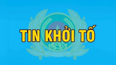 Ảnh minh họa