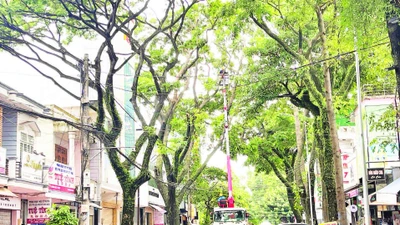 Công nhân Công ty cổ phần Đô thị và Môi trường Đắk Lắk tổ chức cắt tỉa tán cây xanh trên đường Lý Thường Kiệt, thành phố Buôn Ma Thuột bảo đảm an toàn trong mùa mưa năm 2025.