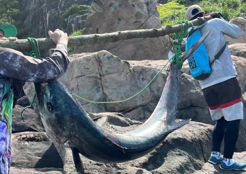 Con cá thu nặng 63kg do ông Hải câu được. (Ảnh: nhân vật cung cấp)