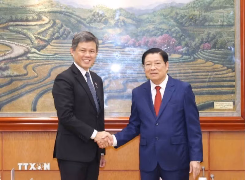 Trưởng Ban Nội chính Trung ương Phan Đình Trạc hội đàm với Phó Tổng Thư ký Đảng Hành động Nhân dân Singapore Chan Chun Sing. (Ảnh: Phương Hoa/TTXVN)