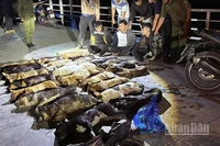 Tang vật được phát hiện trong đêm của các đối tượng trộm chó.