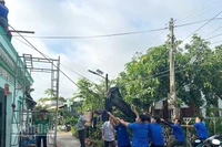 Chính quyền địa phương xã Tân Khánh Trung cùng bà con dọn dẹp, khắc phục hậu quả sau dông lốc, mưa lớn.