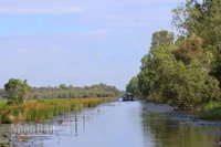 Vườn quốc gia Tràm Chim khoác chiếc áo mới vào mùa nước nổi.