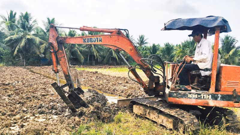 Nông dân xã Lương Hòa, tỉnh Vĩnh Long chuyển đổi từ đất lúa sang trồng dừa.