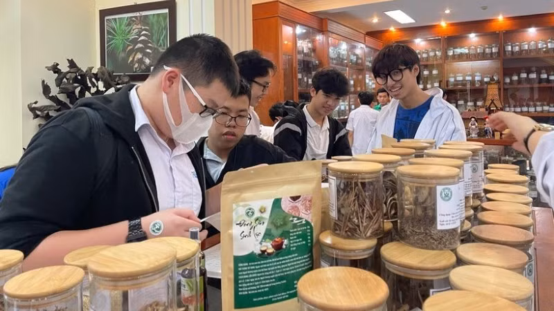 Học sinh tham quan Bảo tàng Dược liệu Việt Nam. (Ảnh: BÁO NHÂN DÂN)