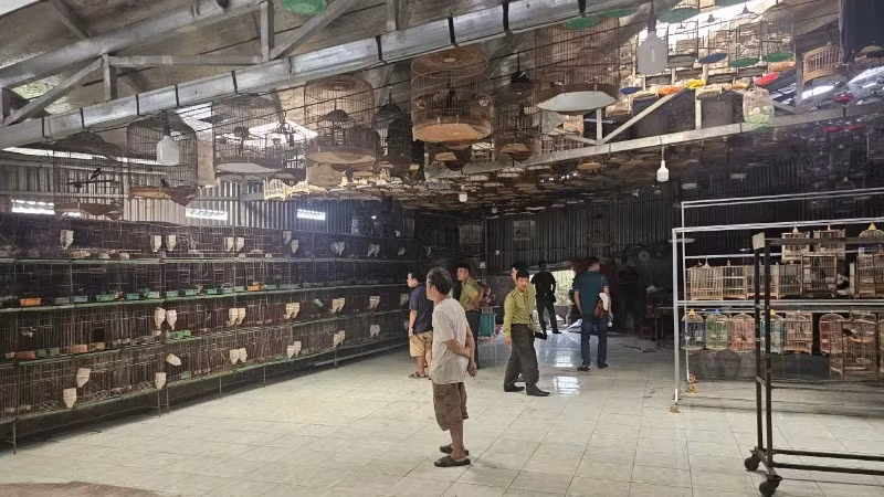 Cơ quan chức năng kiểm tra một cơ sở nuôi chim trái phép.