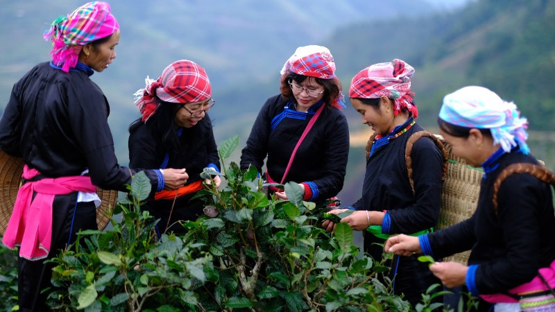Du khách Việt Nam trải nghiệm văn hóa tại bản Liền (Lào Cai). (Ảnh: CAO HƯƠNG)