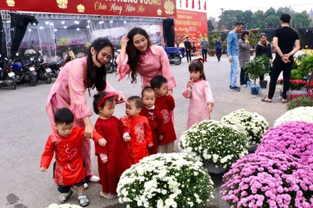 Nhiều gia đình ghi lại khoảnh khắc giữa không gian hoa xuân rực rỡ.