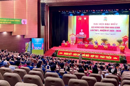 Đây là nhiệm kỳ đầu tiên sau sáp nhập, Hội Nông dân tỉnh thực hiện mô hình tổ chức Hội tinh gọn, hoạt động hiệu lực, hiệu quả hơn.