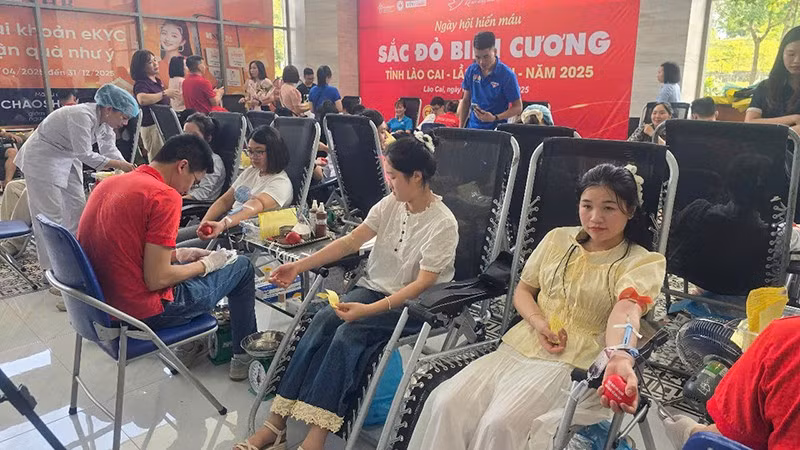 Các tình nguyện viên tham gia hiến máu.