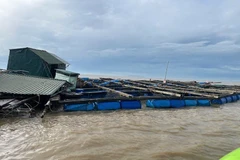 Bè nuôi thủy sản trôi ra Lạch Ghép.