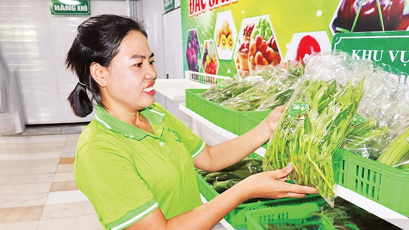 Hợp tác xã Sản xuất và tiêu thụ nông sản sạch Viên Sơn cung cấp nông sản cho nhiều chuỗi cửa hàng thực phẩm sạch tại Hà Nội. (Ảnh KIỀU TÂM)