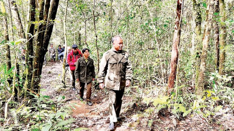 Các lực lượng chức năng tăng cường tuần tra, canh gác tại các khu vực nguy cơ cao cháy rừng.