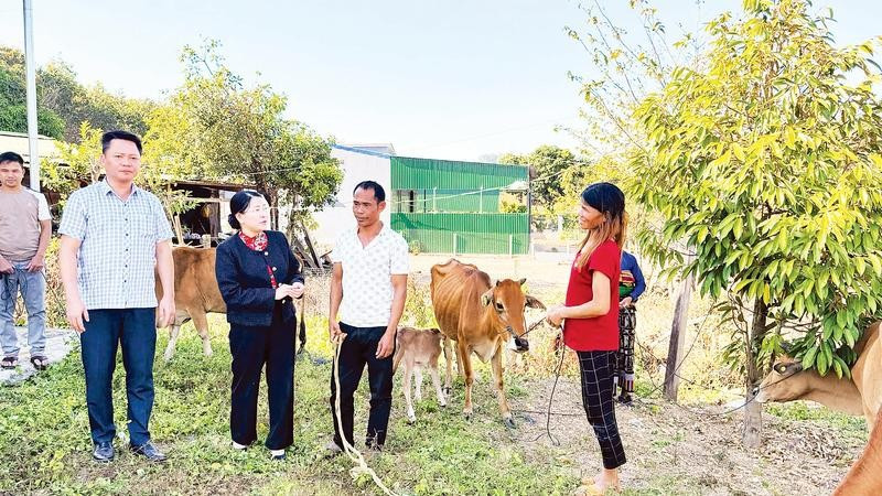 Mô hình “Bò sinh sản” góp phần thay đổi nhận thức, khuyến khích người dân phát triển chăn nuôi theo hướng bền vững.