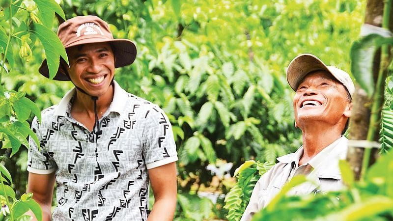 Mô hình trồng xen canh chanh leo và cà-phê mang lại thu nhập ổn định cho hàng trăm hộ nông dân.