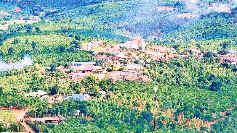 Diện mạo thôn Đắk Ri - nơi đồng bào người Dao sinh sống trên vùng kinh tế mới xã Krông Nô, tỉnh Lâm Đồng hôm nay.