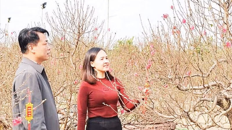 Người dân tham quan Chợ hoa Xuân tại xã Phú Nghĩa.