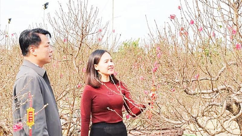 Người dân tham quan Chợ hoa Xuân tại xã Phú Nghĩa.