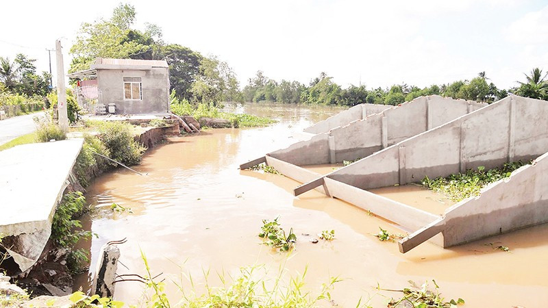 Nhiều ngôi nhà ở Đồng Tháp bị đổ sụp xuống sông do sạt lở. 