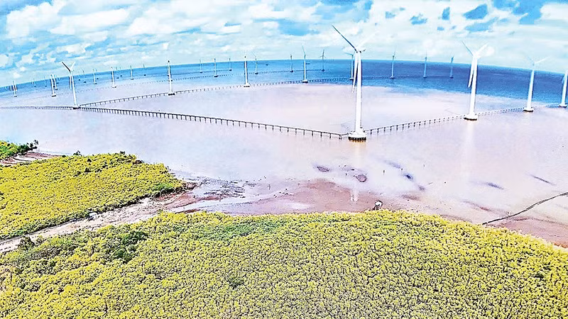 Cánh đồng điện gió tại vùng ven biển phường Hiệp Thành, tỉnh Cà Mau. 