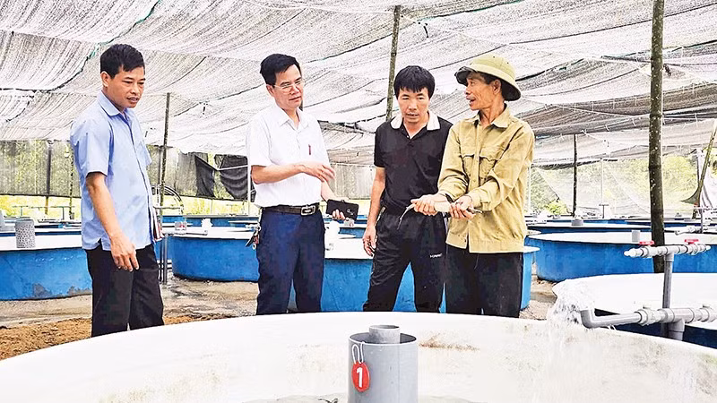 Mô hình Hợp tác xã Cá Tầm bản Sẹc Lống Mìn của gia đình ông Vũ Đình Hoàn (ngoài cùng bên phải) ở xã Quảng Tân.