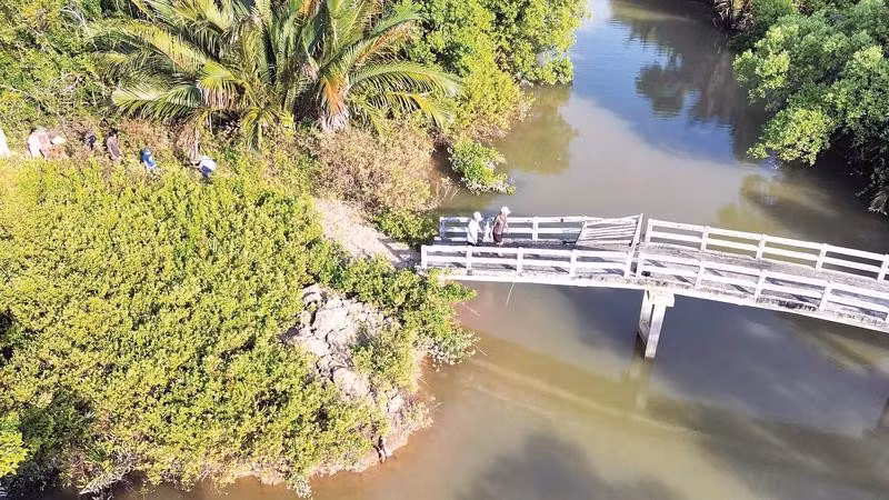 Cây cầu dân sinh được xây dựng ở khu vực Lộ Tẻ đã lâu nhưng không đường dẫn, không có móng kiên cố nằm giữa đồng không mông quạnh.