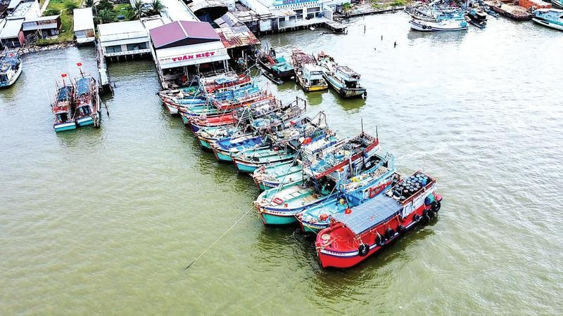 Cảng cá Sông Đốc những ngày giáp Tết Nguyên đán nhộn nhịp tàu khai thác vào bờ bán sản phẩm, kết thúc chuyến biển cuối năm thắng lợi.