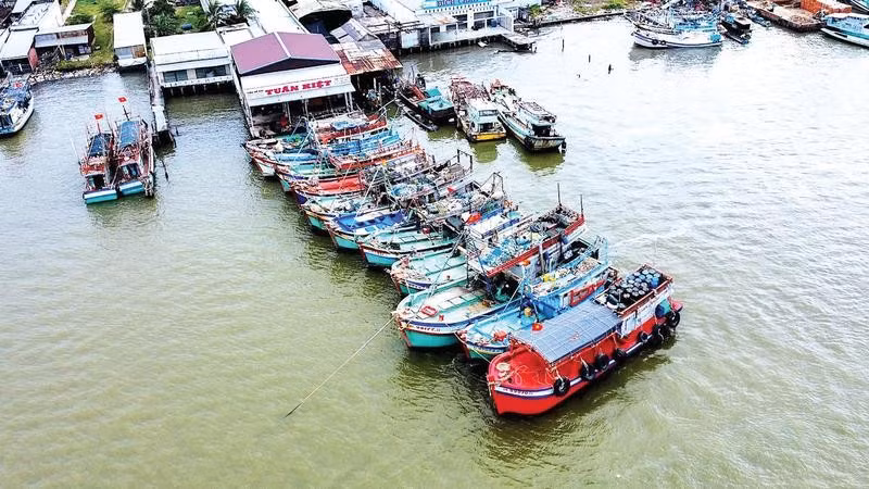 Cảng cá Sông Đốc những ngày giáp Tết Nguyên đán nhộn nhịp tàu khai thác vào bờ bán sản phẩm, kết thúc chuyến biển cuối năm thắng lợi.
