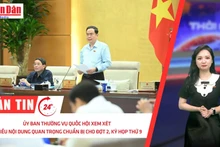 [Video] Thời sự 24h ngày 3/6/2025: Ủy ban Thường vụ Quốc hội xem xét nhiều nội dung quan trọng chuẩn bị cho đợt 2, Kỳ họp thứ 9