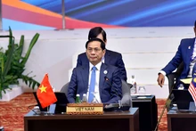 Phó Thủ tướng, Bộ trưởng Ngoại giao Bùi Thanh Sơn tham dự các hoạt động. (Ảnh: Bộ Ngoại giao)
