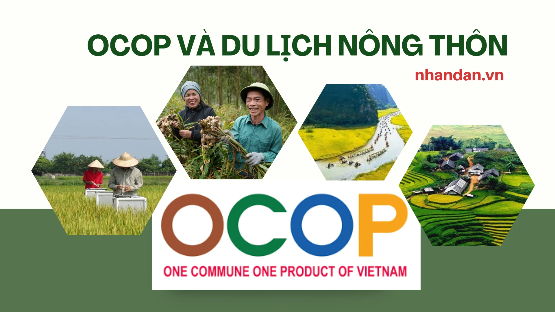 Chương trình OCOP và du lịch nông thôn tạo động lực phát triển bền vững