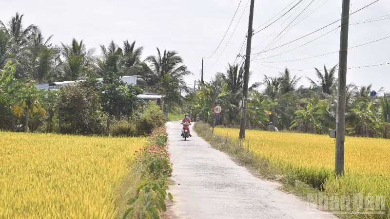 Để nông thôn thật sự là nơi để nông dân có thể "sống" được trên mảnh đất của mình.
