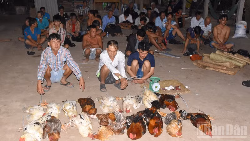 Hiện trường vụ đánh bạc tại xã Long Hưng, tỉnh Đồng Tháp.