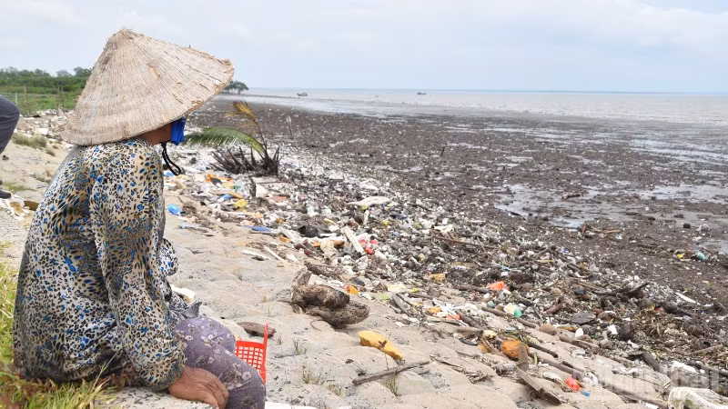 Nhiều khu vực ở đê biển Gò Công (tỉnh Đồng Tháp) bị sạt lở và cần đầu tư khẩn cấp.