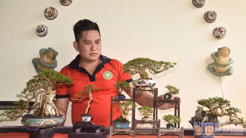 anh Bình với các cây kiểng bonsai nhỏ và siêu nhỏ.