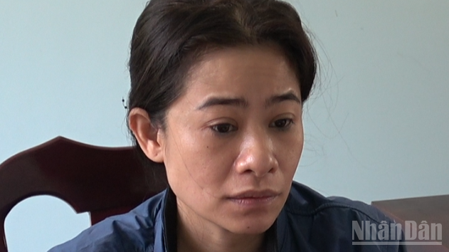 Đối tượng Nguyễn Thị Phương Thảo là kẻ cầm đầu trong vụ án.