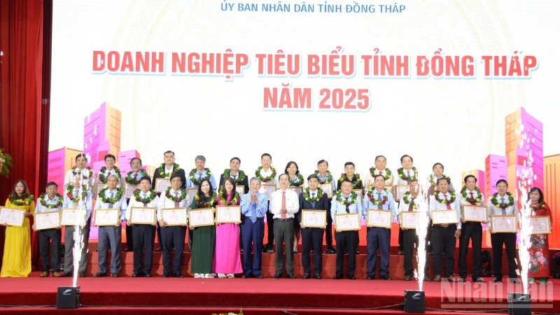 Tuyên dương, khen thưởng các doanh nghiệp tiêu biểu của tỉnh Đồng Tháp.