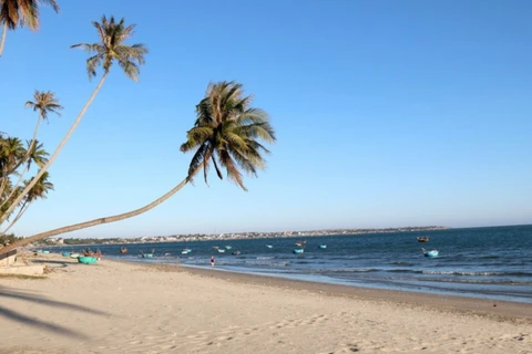 Biển xanh, cát trắng cùng những rặng dừa hơn 100 năm tuổi bên biển Mũi Né. (Ảnh: TTXVN)