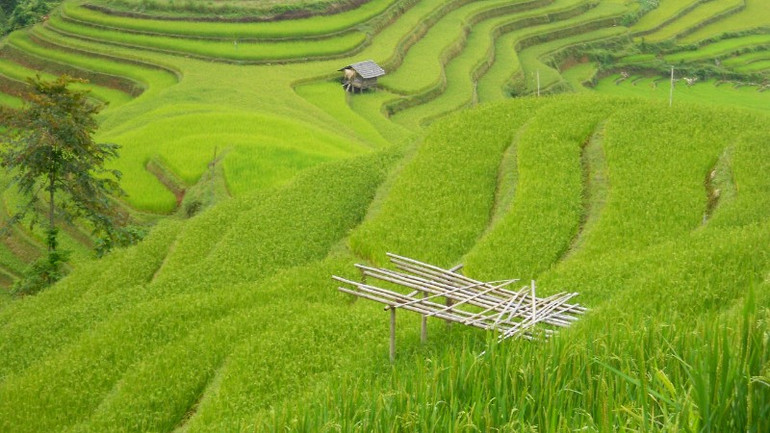 Du lịch sẽ hấp dẫn nhất khi được quảng bá bằng sự chân thật và chất lượng dịch vụ, như cách nhiều điểm đến vùng cao đang làm. z7002383959138-f5aadc3adea964a68e2b255db34dbf9a-6660.jpg