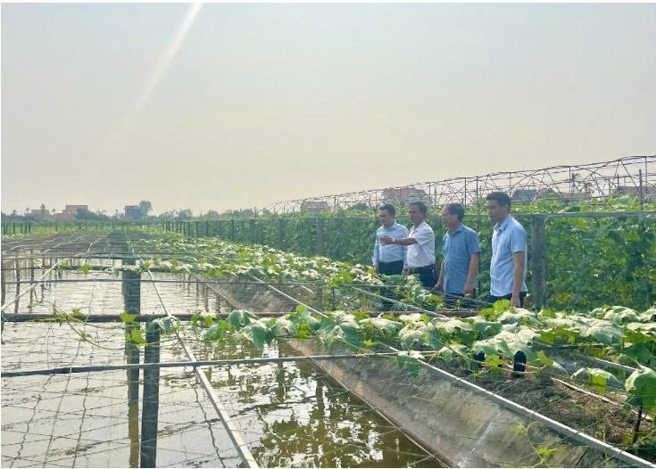 Mô hình chuyển đổi đất lúa kém hiệu quả sang trồng cây, nuôi cá tại xã Khánh Thành, huyện Yên Khánh. (Ảnh: Yến Trinh) z6690822657742-5d5f6b80ced83815052eef07a08330d1.jpg