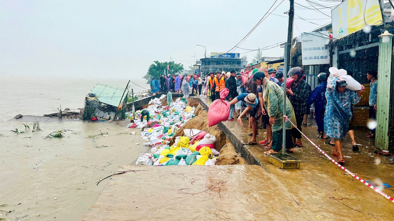 Người dân xã Duy Nghĩa cùng nhiều lực lượng nỗ lực gia cố tạm thời bờ kè An Lương. z7172980202849-0fcee996908766accae9084a38c95ad8.jpg