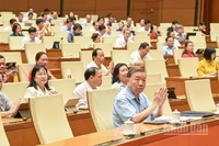Tổng Bí thư Tô Lâm và các đại biểu Quốc hội tham dự phiên họp. (Ảnh: DUY LINH)