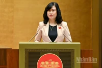 Bộ trưởng Y tế Đào Hồng Lan trình bày tóm tắt tờ trình. (Ảnh: DUY LINH)