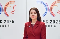 Thứ trưởng Ngoại giao Nguyễn Minh Hằng. (Ảnh: Bộ Ngoại giao)