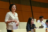 Phó Thủ tướng Chính phủ Phạm Thị Thanh Trà phát biểu tại phiên họp. (Ảnh: DUY LINH)