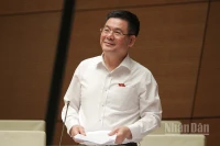 Bộ trưởng Công thương Nguyễn Hồng Diên phát biểu tại phiên họp. (Ảnh: DUY LINH)