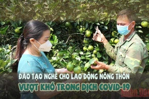 Đào tạo nghề cho lao động nông thôn vượt khó trong dịch Covid-19