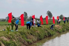 Đoàn viên, thanh niên thành phố Hải Phòng tích cực tham gia xây dựng các công trình góp phần xây dựng nông thôn mới.
