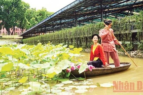 Du lịch trải nghiệm hái hoa sen tại dòng sông cổ trong Di sản văn hóa thế giới Hoàng thành Thăng Long.