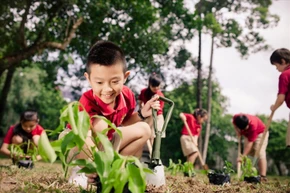 Chỉ cần mỗi cá nhân nhận biết các hành động tiết kiệm năng lượng, giảm rác thải nhựa... là có thể mang đến một đời sống phát triển xanh và bền vững.